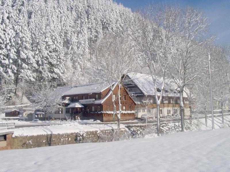 Hotel Gruener Hof Zell am Harmersbach Exteriér fotografie
